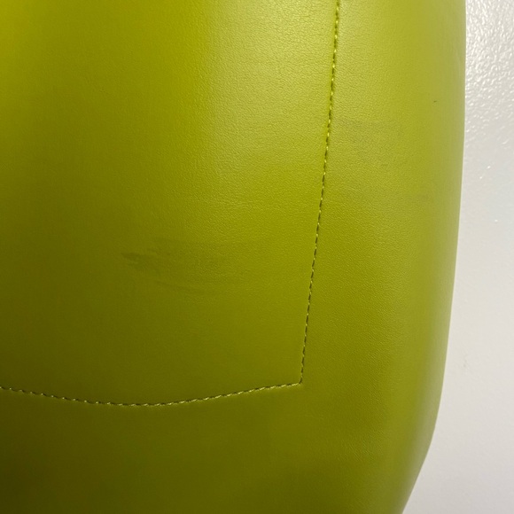 Everlane Cactus Leather Hobo Bag - Picture 4 of 13